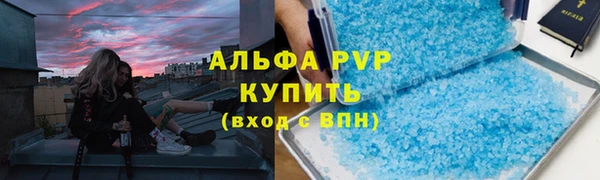стаф Корсаков