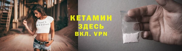 стаф Корсаков