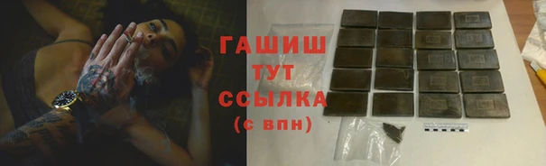 стаф Корсаков