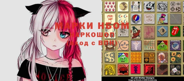 стаф Корсаков