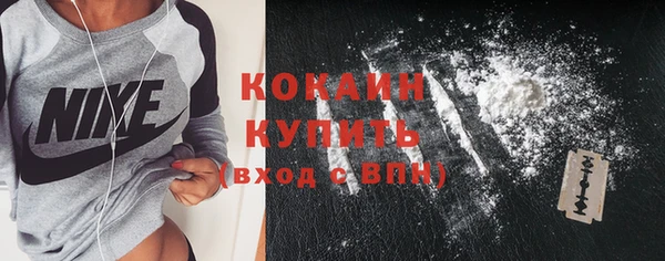 стаф Корсаков