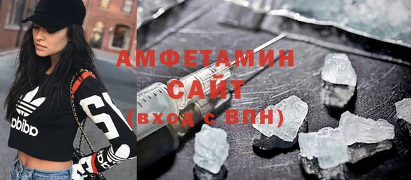 стаф Корсаков