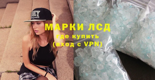стаф Корсаков