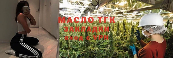 стаф Корсаков