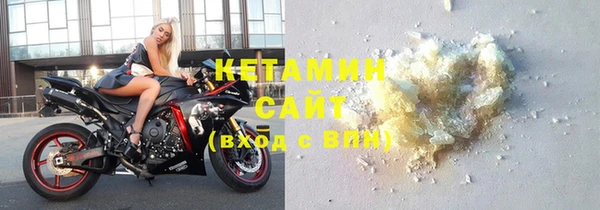 стаф Корсаков