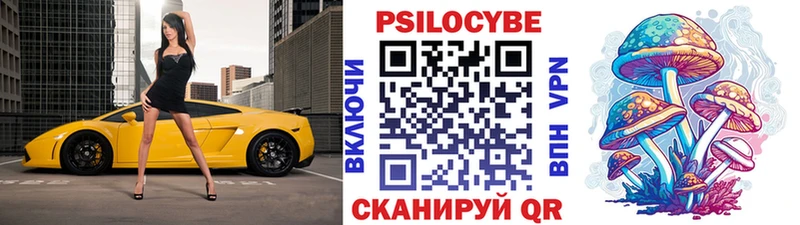 Купить  Дзержинский  Галлюциногенные грибы прущие грибы 